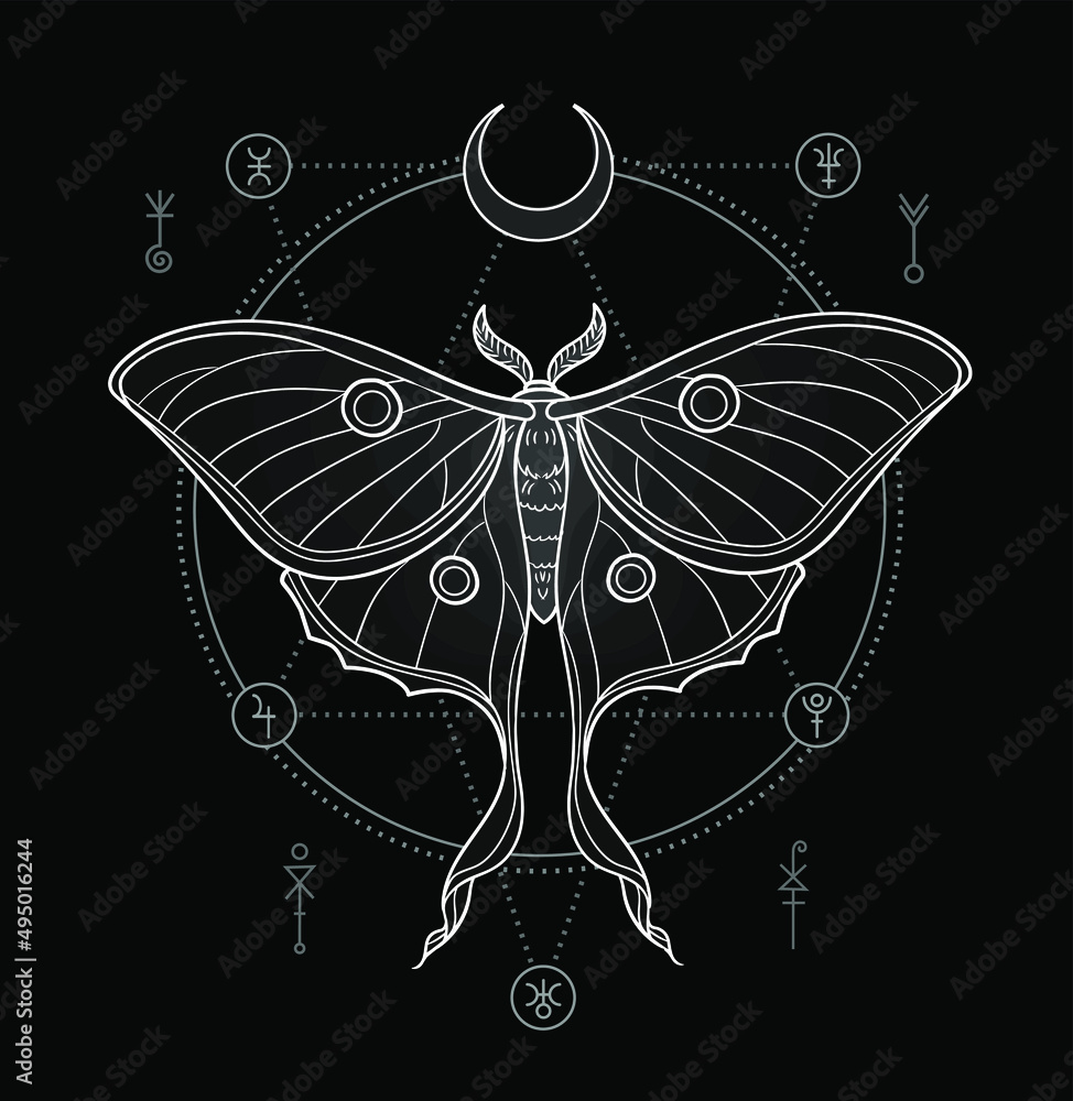 Luna moth with pentagram and alchemy symbols. Vector illustration in cabalistic style