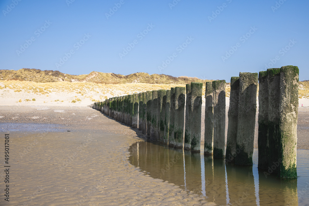Wooden poles on a row at the beach Wooden poles on a row at the beach