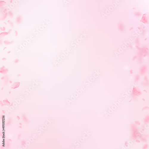 Sakura petals falling down. Romantic pink flowers borders. Flying petals on pink square background. Love, romance concept. Powerful wedding invitation. © Begin Again