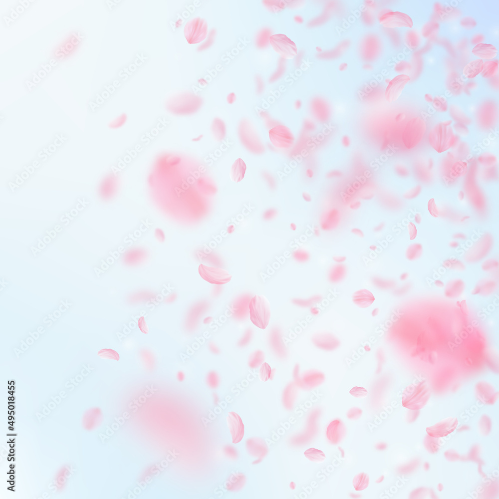 Sakura petals falling down. Romantic pink flowers gradient. Flying petals on blue sky square background. Love, romance concept. Rare wedding invitation.