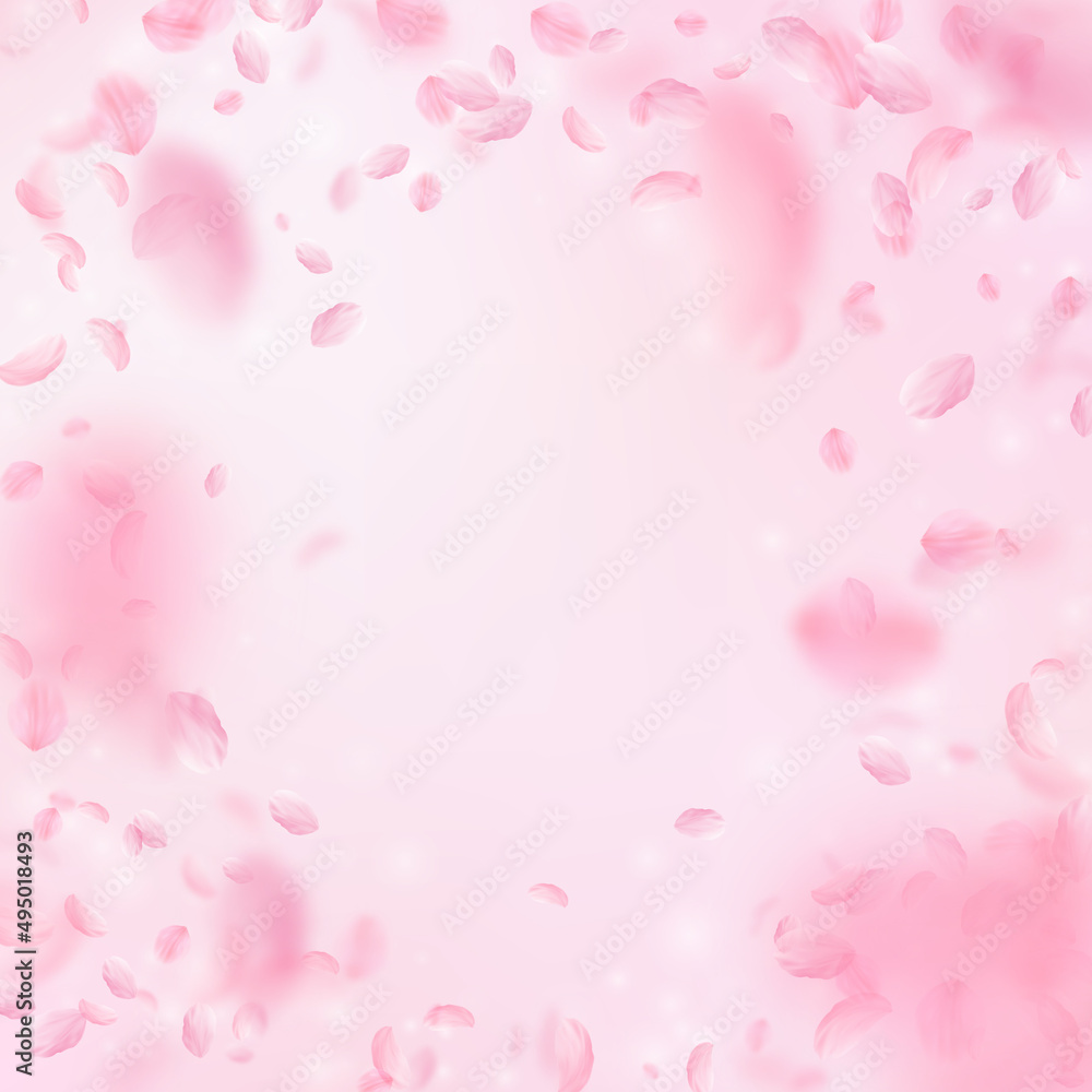 Sakura petals falling down. Romantic pink flowers vignette. Flying petals on pink square background. Love, romance concept. Ideal wedding invitation.