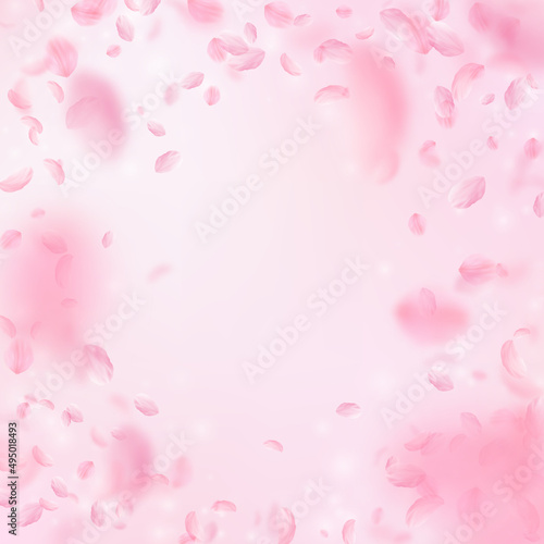 Sakura petals falling down. Romantic pink flowers vignette. Flying petals on pink square background. Love, romance concept. Ideal wedding invitation.
