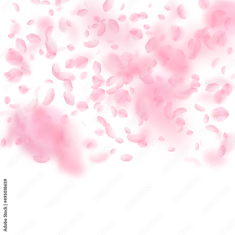 Sakura petals falling down. Romantic pink flowers gradient. Flying petals on white square background. Love, romance concept. Artistic wedding invitation.