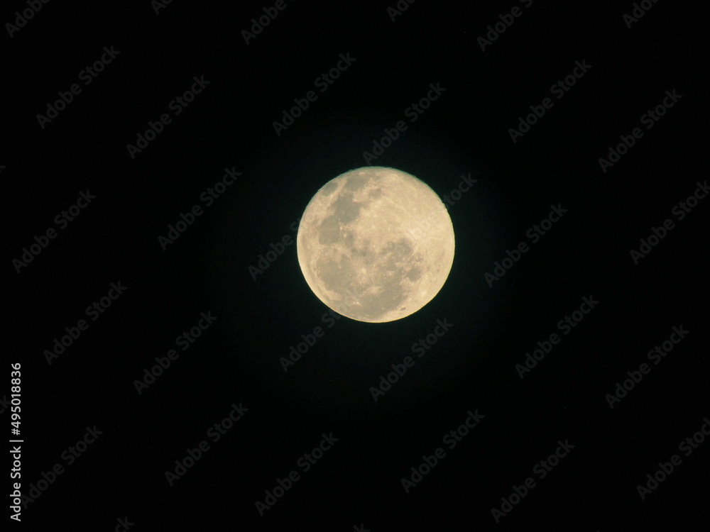 Fototapeta premium full moon in the night