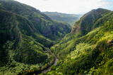 Aerial view of Hanapepe Valley on Kauai island, Hawaii, United States - Ko'ula river in a lush tropical landscape