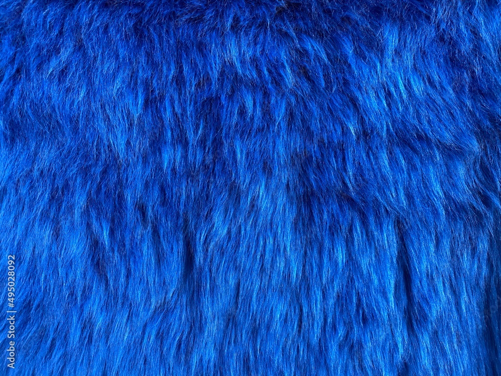 Natural fur. Long hair fur for background or texture. Texture of fluffy fur for designers. Close-up fragment wool. Wool texture. Natural sheepskin rug background. Natural fur. Long hair fur for background or texture. Texture of fluffy fur for designers. Close-up fragment wool. Wool texture. Natural sheepskin rug background.