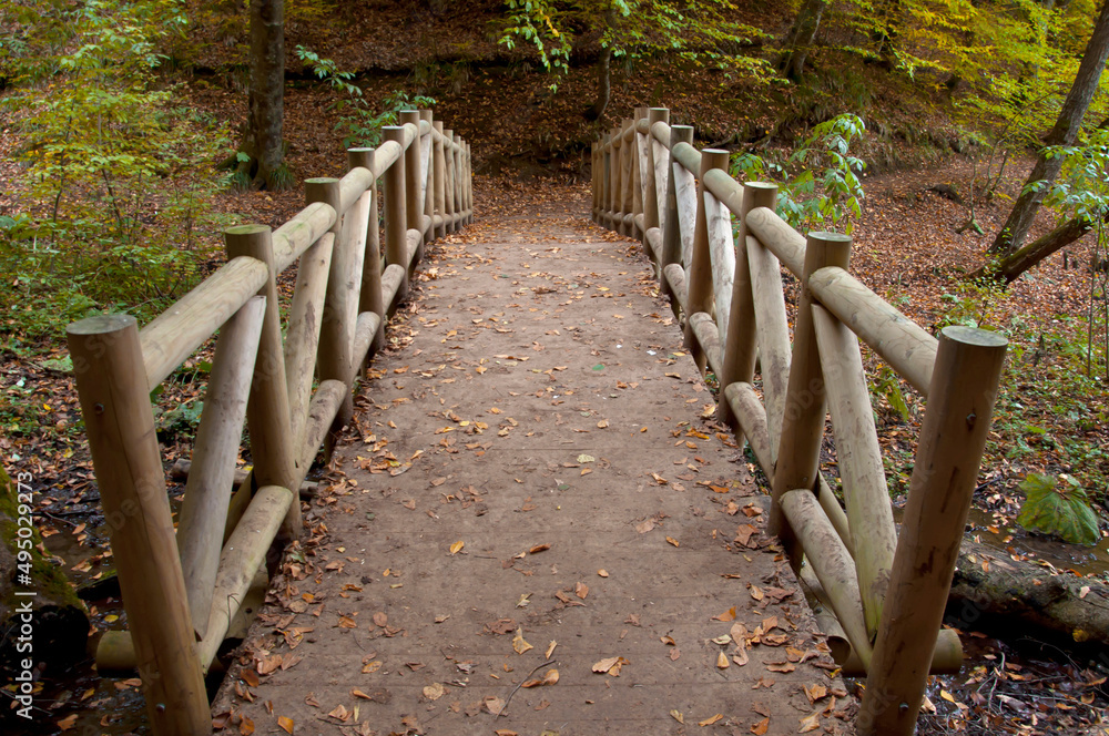 Autumn season in Bolu Yedigöller . wood bridge