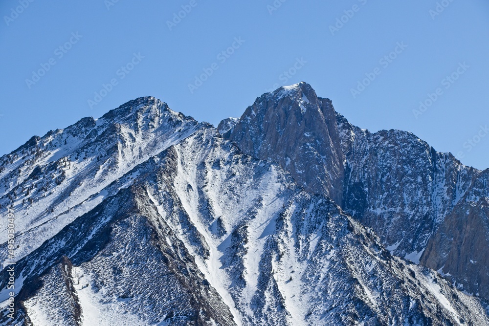 Sierra Nevada Snow Days