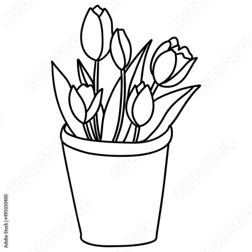 tulip flower hand-drawnline art illustration for web, wedsite, application, presentation, Graphics design, branding, etc. photo