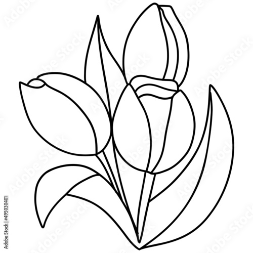 tulip flower hand-drawnline art illustration for web, wedsite, application, presentation, Graphics design, branding, etc. photo