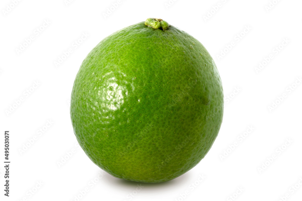 lime isolated on white background.
lime isolated on white background.