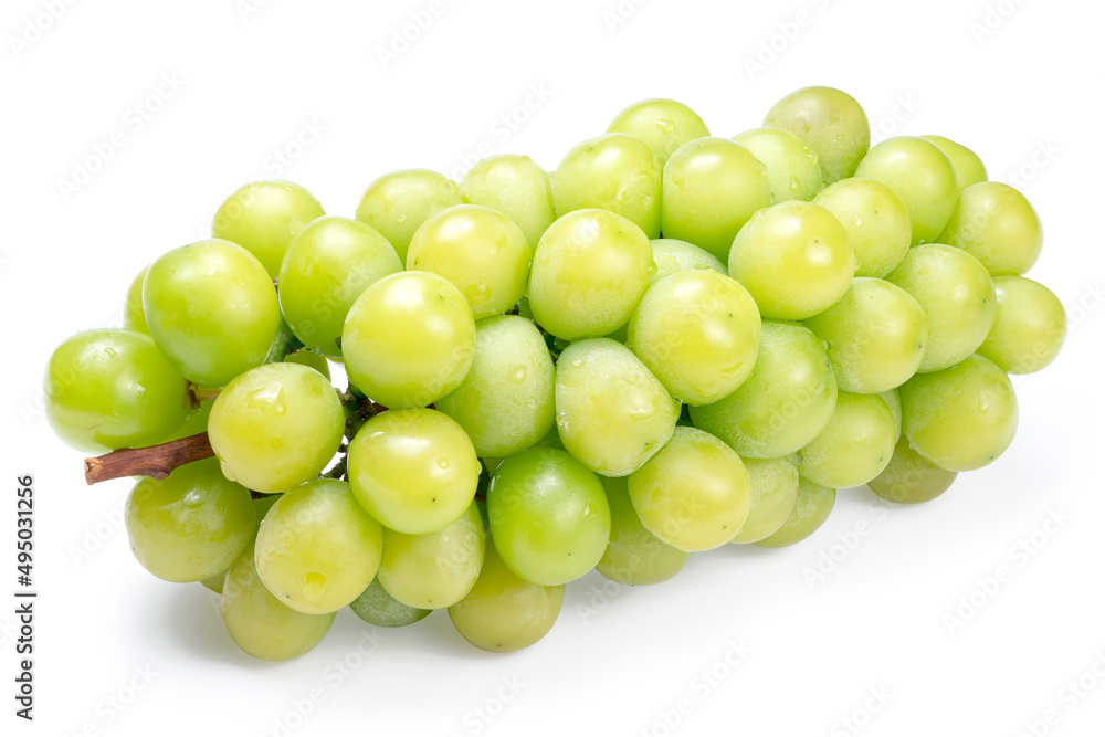Fresh Organic Shine Muscat, Green Grapes isolated on white background with clipping path.
Fresh Organic Shine Muscat, Green Grapes isolated on white background with clipping path.