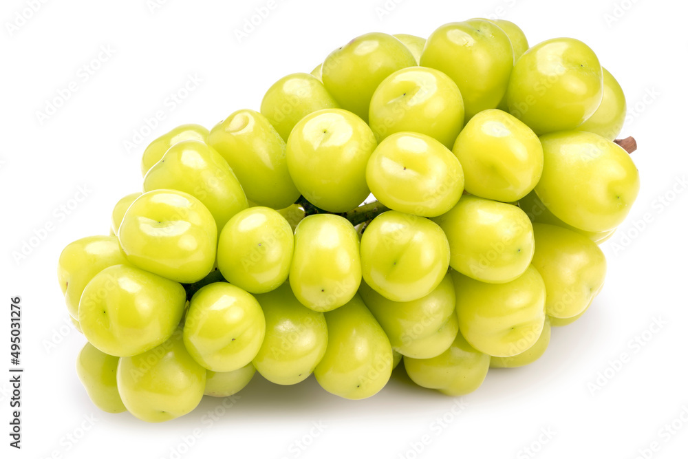 Fresh Organic Shine Muscat, Green Grapes isolated on white background with clipping path.
Fresh Organic Shine Muscat, Green Grapes isolated on white background with clipping path.