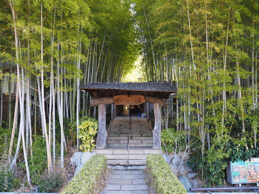 竹林の中にある宿の門