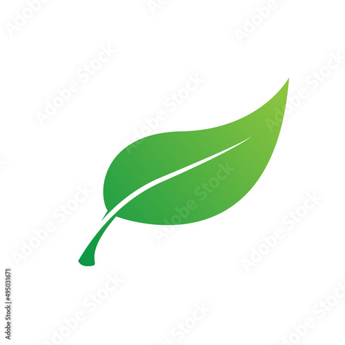 Isolated green leaf for icon, logo, object and vector object for natural leaf design on white background