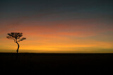 Sunrise and Tree Silhouette in Maasai Mara National Reserve, Kenya.