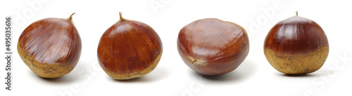 Fotografía chestnut on a white background
