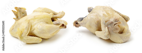 boiled chicken on a white background 