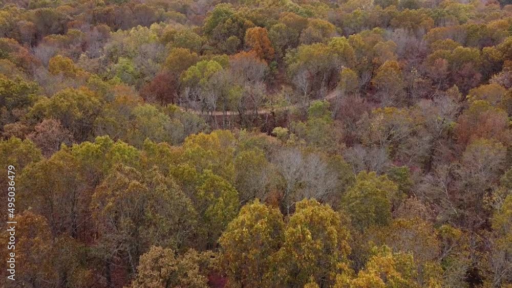Oklahoma fall leaves change color on trees Oklahoma fall leaves change color on trees