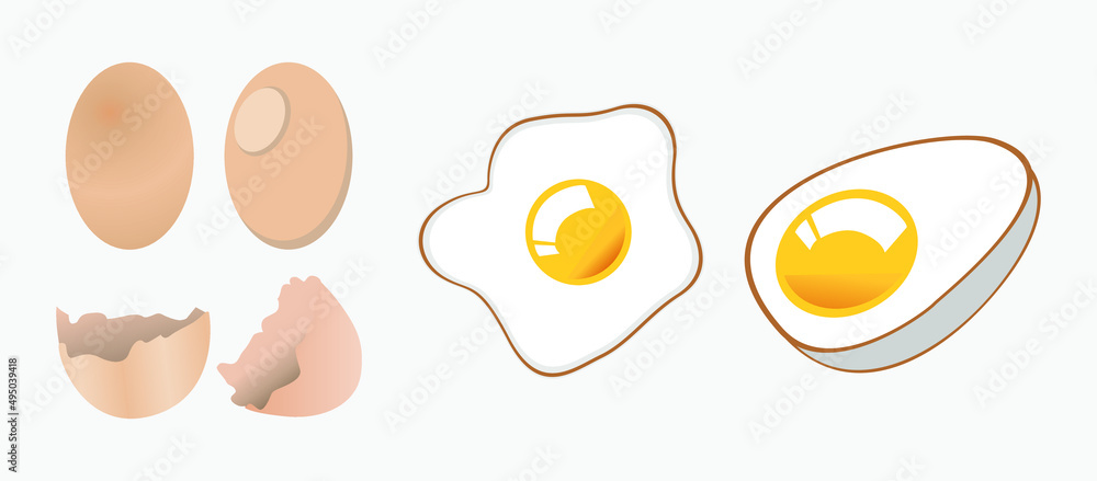 Eggs set with Cracked Shell, Healthy Organic Food Vector Illustration