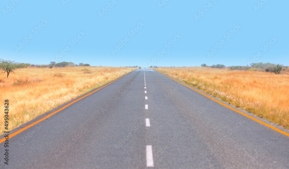 African savanna landscape with asphalt road - Namibia, South Africa