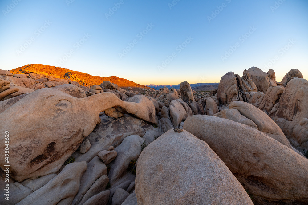 Unique landscape of Joshua Tree National Park in fall at sunset. Unique landscape of Joshua Tree National Park in fall at sunset.