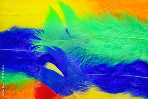 colored feathers in various combinations, children's toy 