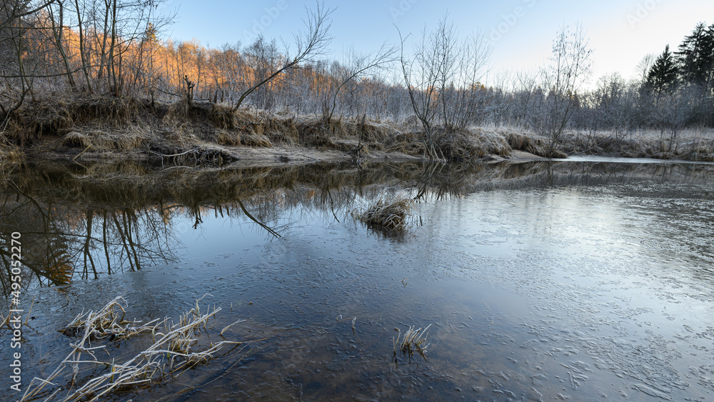 A forest stream under a spring tide in the beaver kingdom and a wildlife habitat. A natural environment untouched by man. Meditation in nature, the sound of water, a state of calm, relaxation.