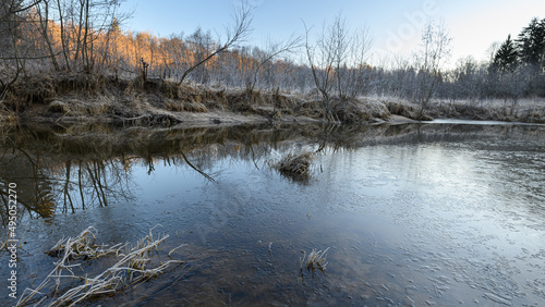 Obraz na płótnie A forest stream under a spring tide in the beaver kingdom and a wildlife habitat. A natural environment untouched by man. Meditation in nature, the sound of water, a state of calm, relaxation. w salonie