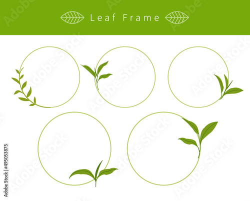 Round nature floral label flowers leaves decoration vector illustration