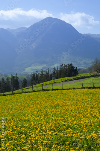 Billede på lærred Meadows and Natural Park of the Aralar mountain range from Orendain, Euskadi