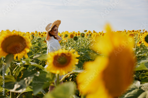 woman portrait in a white dress walking on a field of sunflowers unaltered