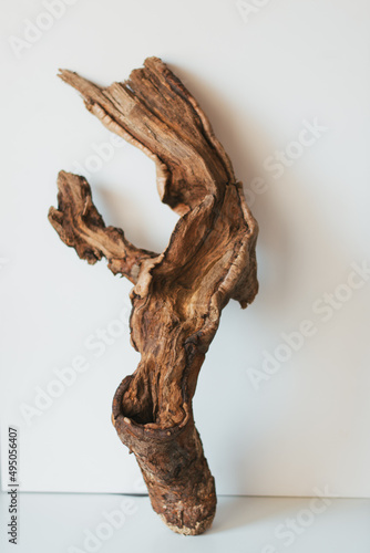 Piece of driftwood isolated on white