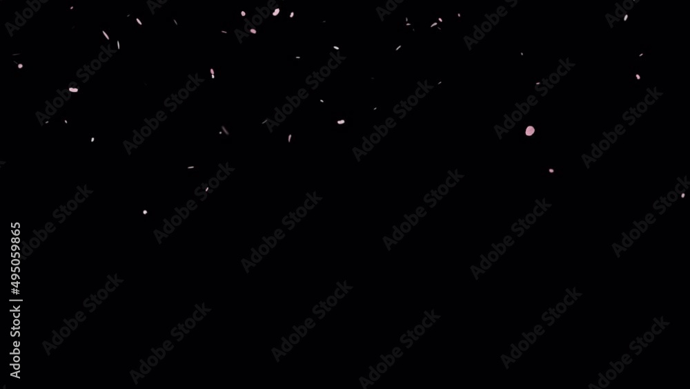 桜 風に散る(花びら写真)【透過動画素材】 桜 風に散る(花びら写真)【透過動画素材】