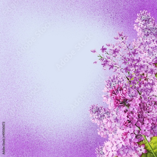 
Violets lilac purple background frame decor and design element.