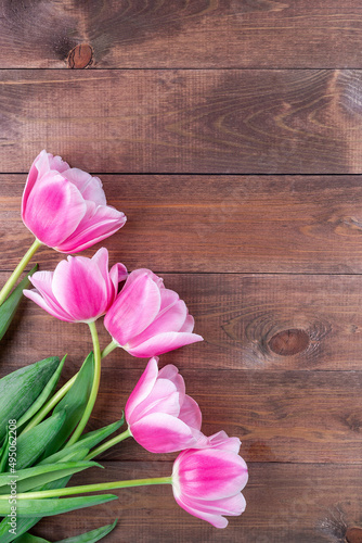 Beautiful pink white tulips on dark brown wooden background, vertical, copy space, top view