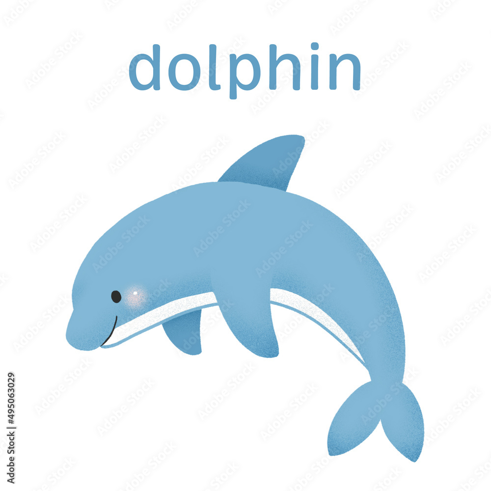 Obraz premium 英単語カード・イルカ