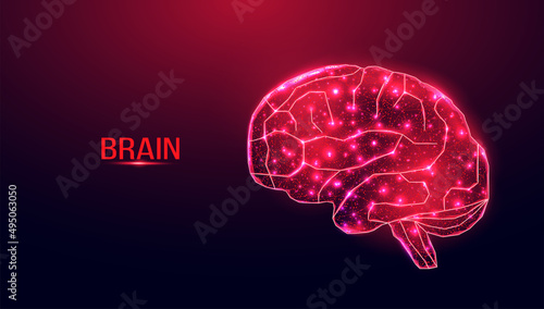 Human brain. Wireframe low poly style.