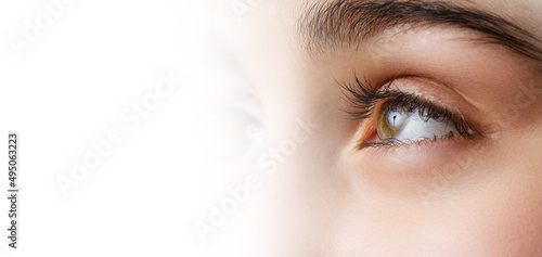 Close up, profle photo o a female eye, iris, pupil, eye lashes, eye lids.