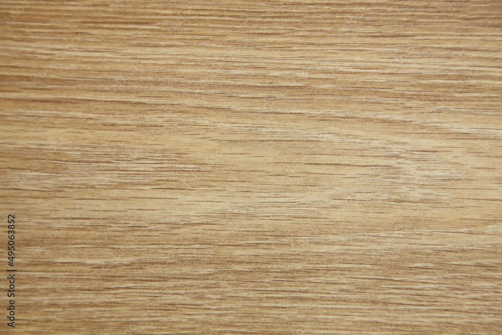 The texture of a tree with a pattern. Light beige background. The texture of a tree with a pattern. Light beige background.