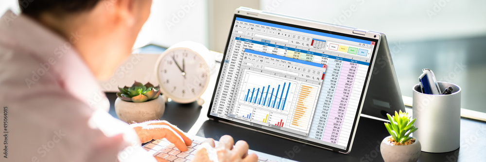 Electronic Spreadsheet Analyst Or Auditor Using Software Electronic Spreadsheet Analyst Or Auditor Using Software