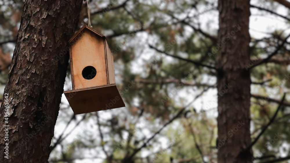 birdhouse standing on pine tree against view birdhouse standing on pine tree against view