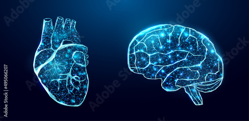 Human heart and brain. Wireframe low poly style. Abstract modern 3d vector illustration on dark blue background