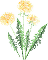 Keuken achterwand Wit Geborduurde paardenbloem kleurrijke illustratie  © Good Studio