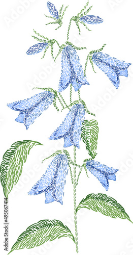 Embroidered Bellflower Colored Illustration