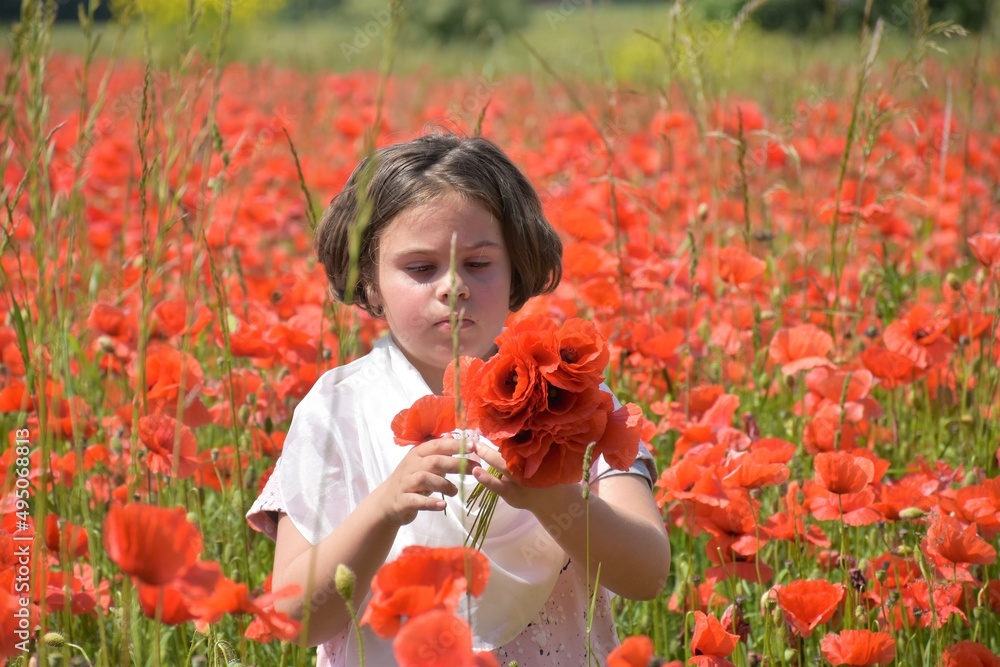 girl in poppy field girl in poppy field
