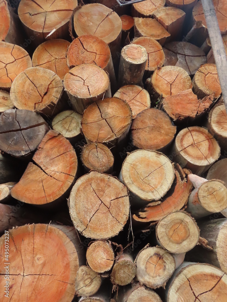 Fototapeta premium stack of firewood