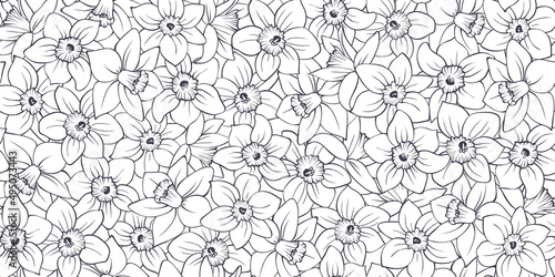 Floral seamless pattern with black outline daffodils on white background. Hand drawn sketch of narcissus flower buds. Lace spring vector for wedding design  greeting card  fabric  wallpaper print.