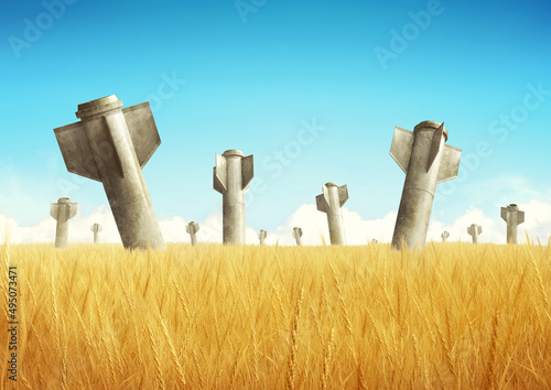 Принти на полотні Rockets in wheat field