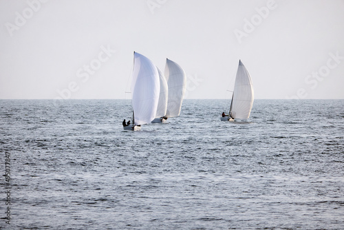 Sailing boats at sea. Sailboat management.
